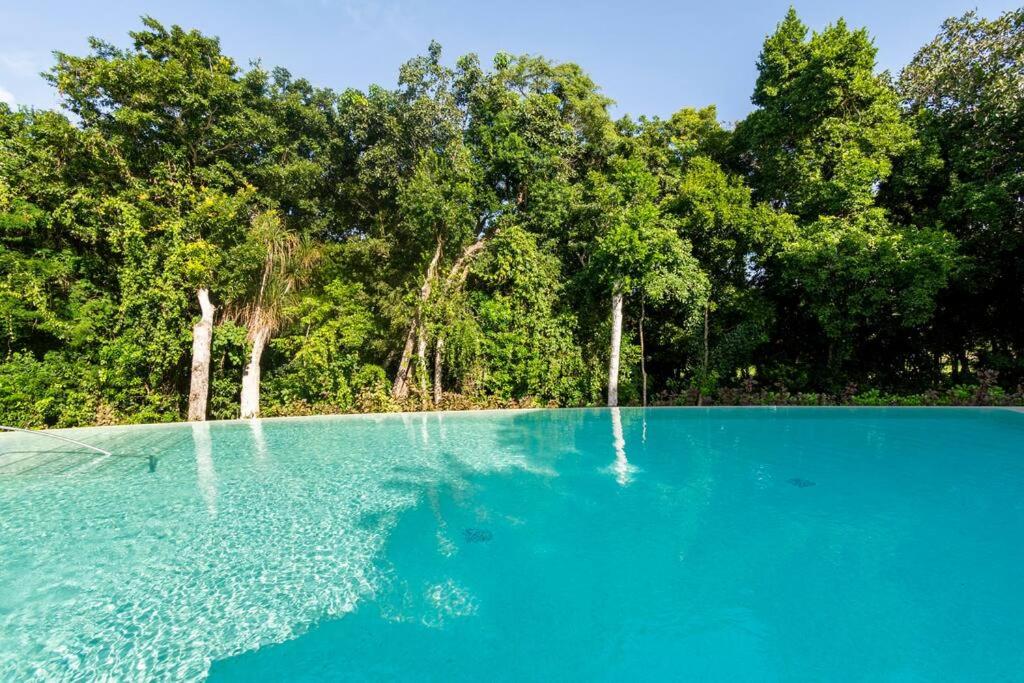 Tropical Escape