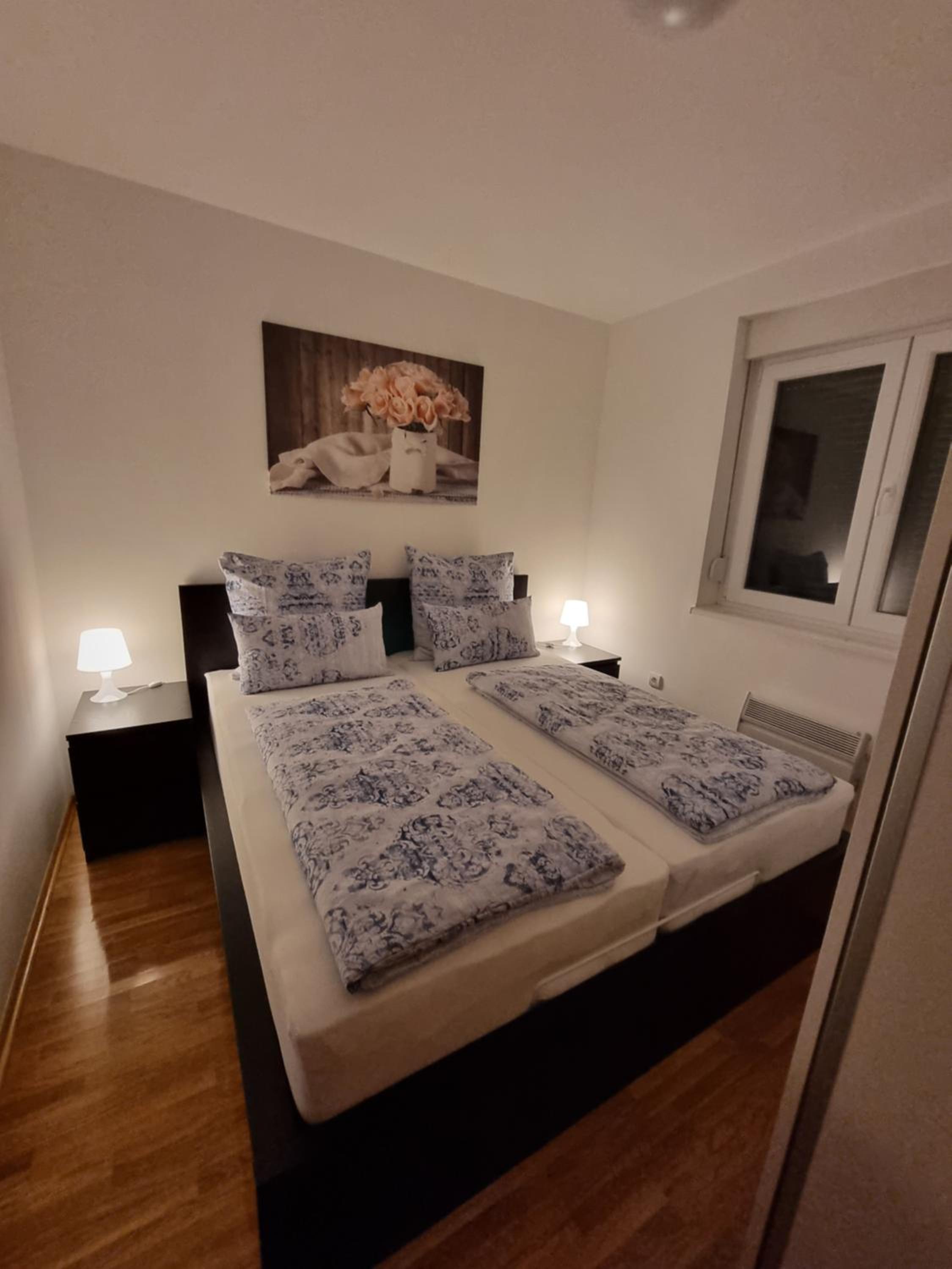 Duša Apartman view 5