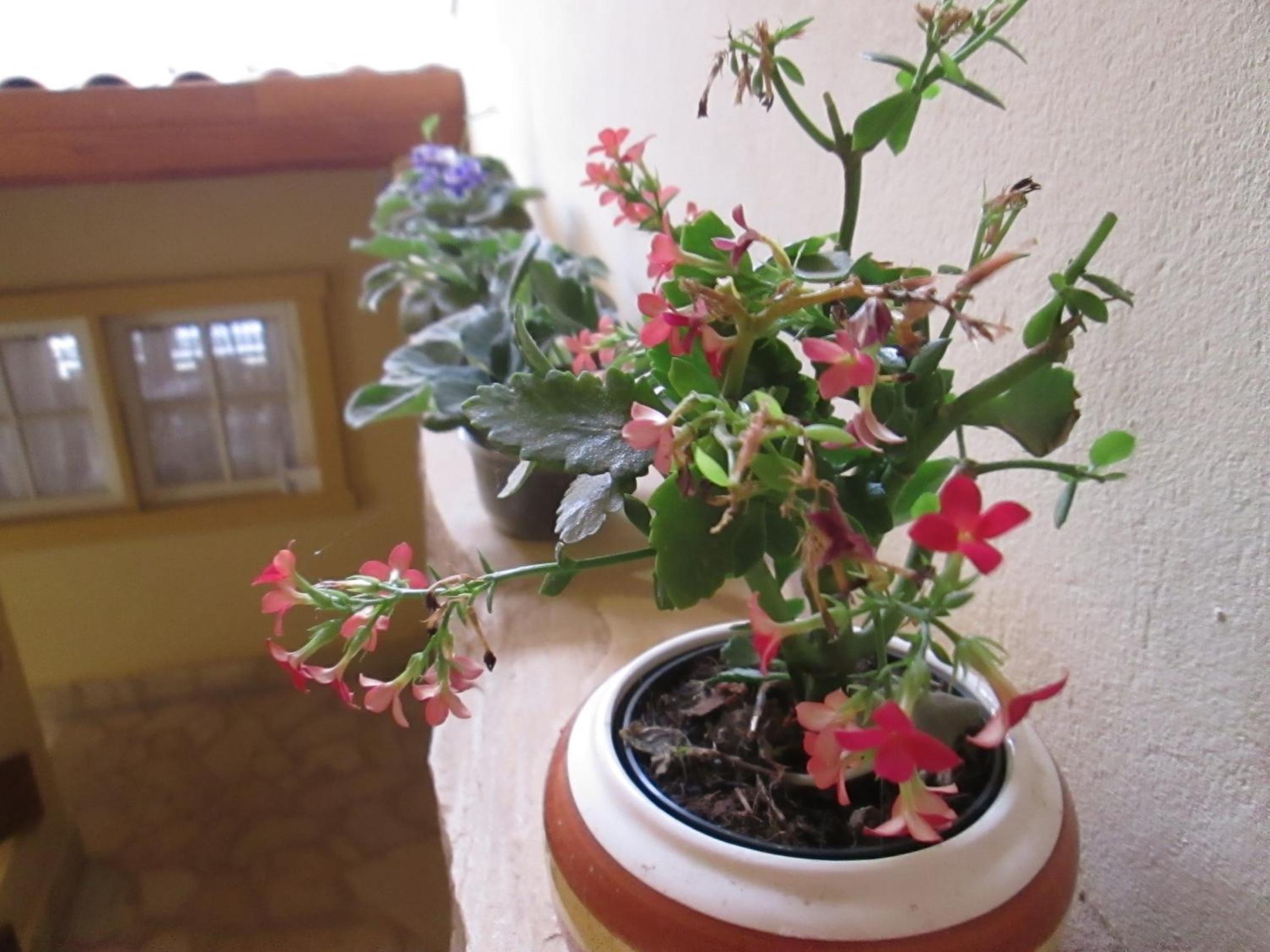 other