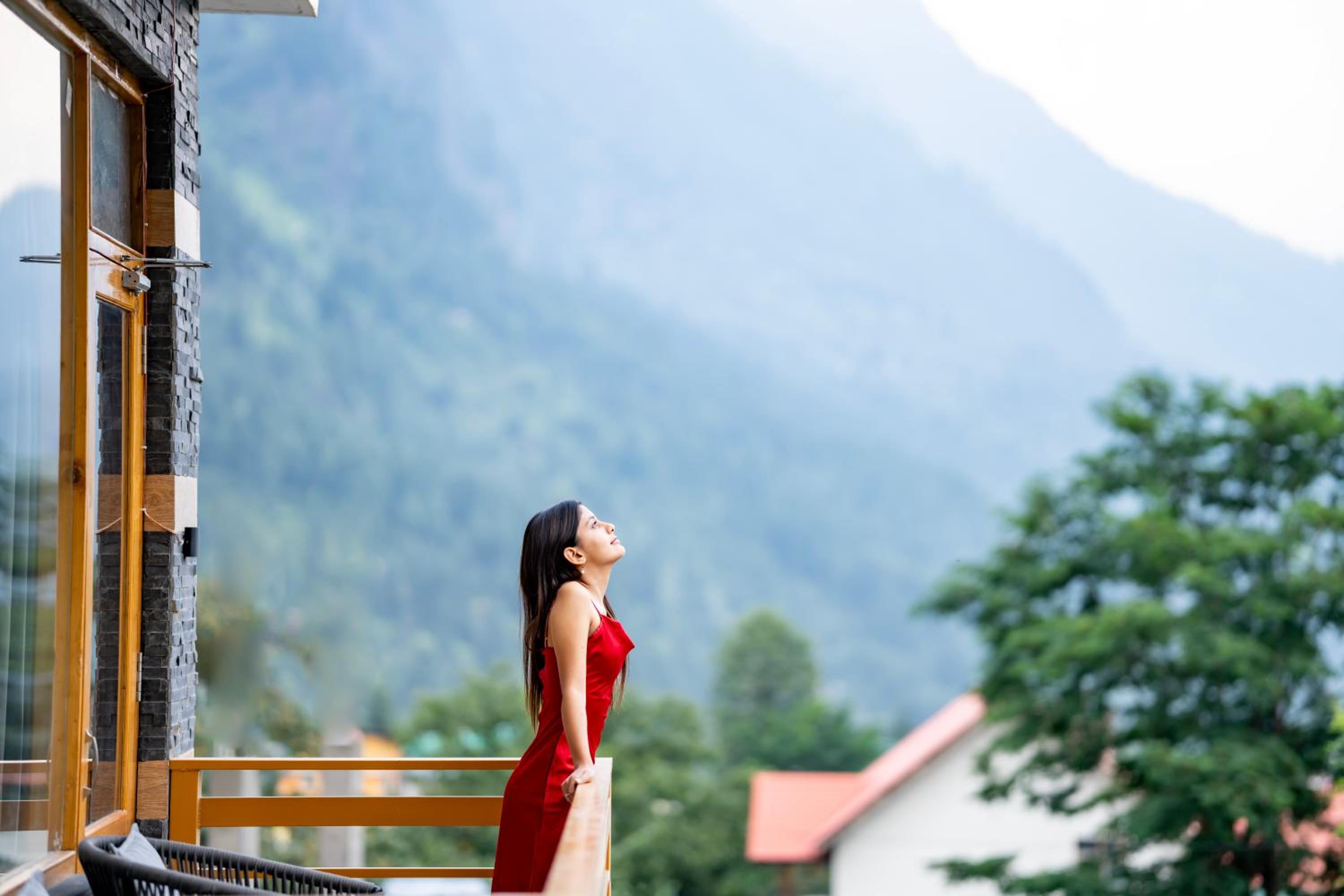 Olgah Manali view 4