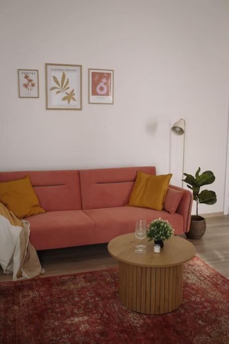 Rosa Apartment in Cesis view 2