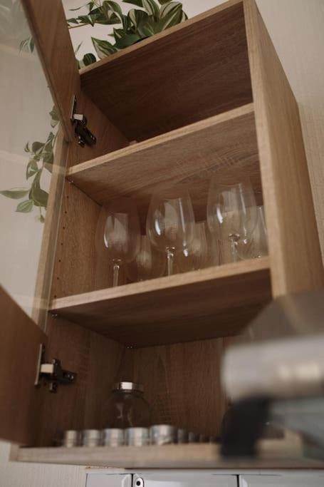 Rosa Apartment in Cesis view 3