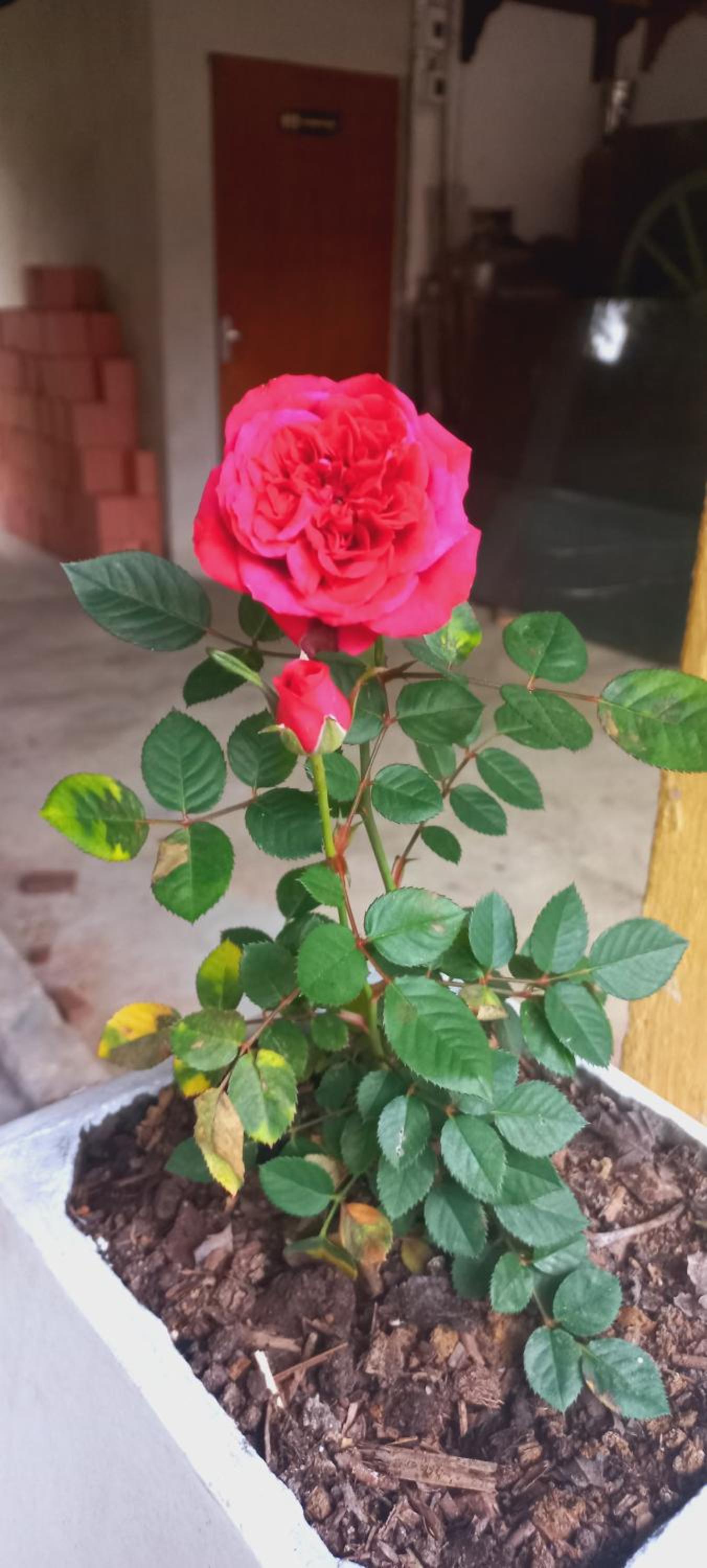 Chácara Doce Riacho