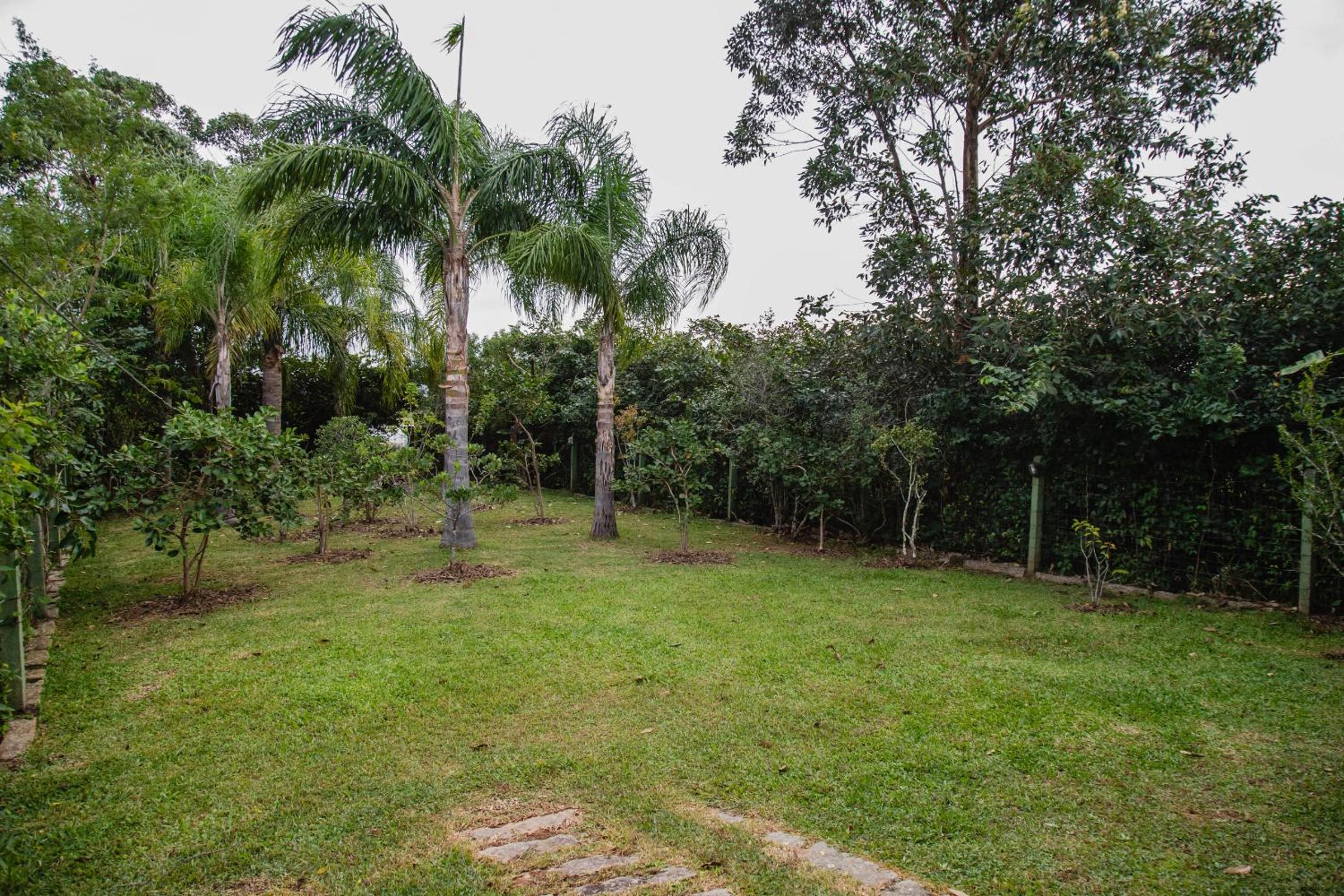 Natureza exuberante próxima a lagoa NS0749