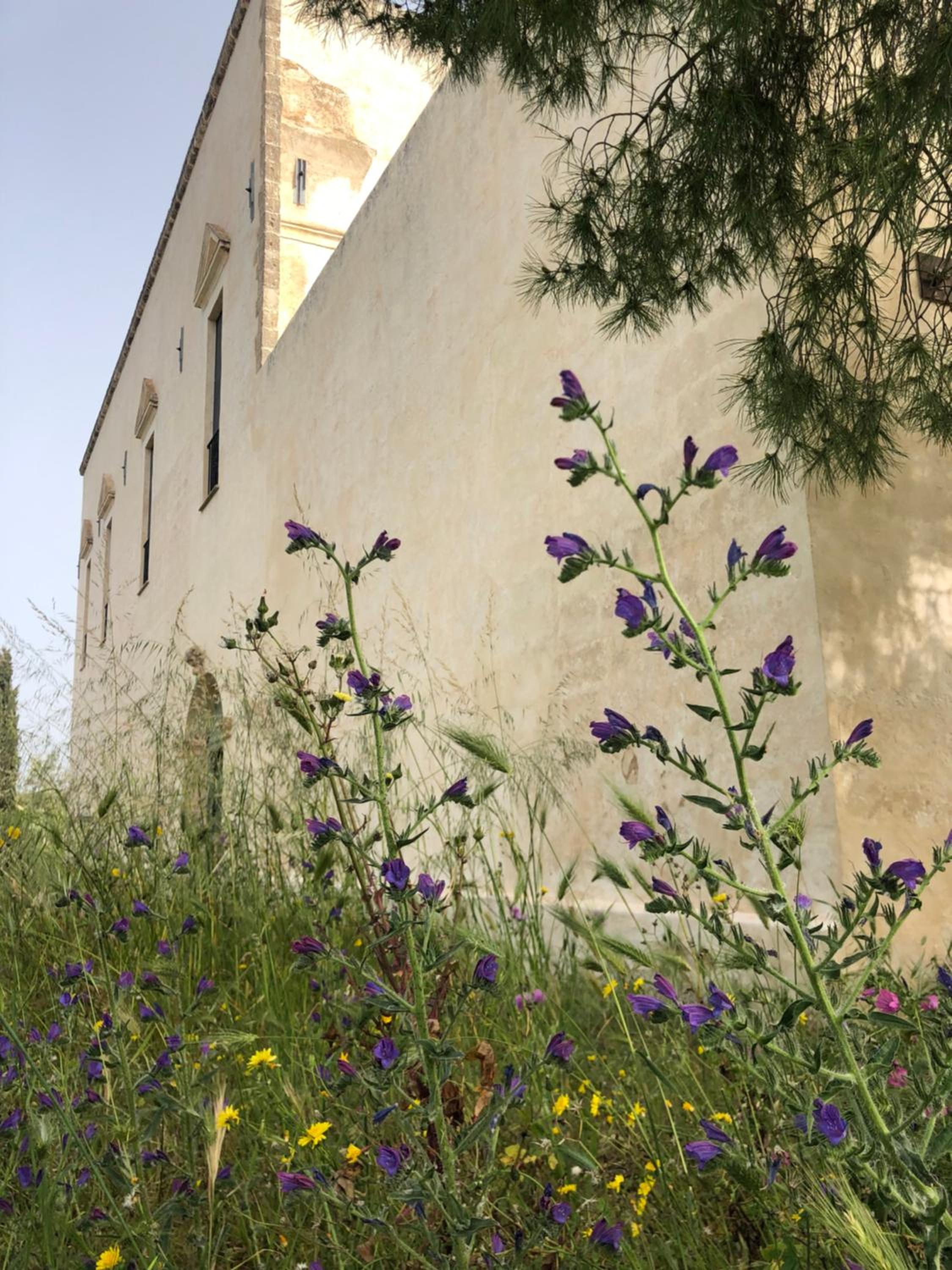 Masseria Mondonuovo