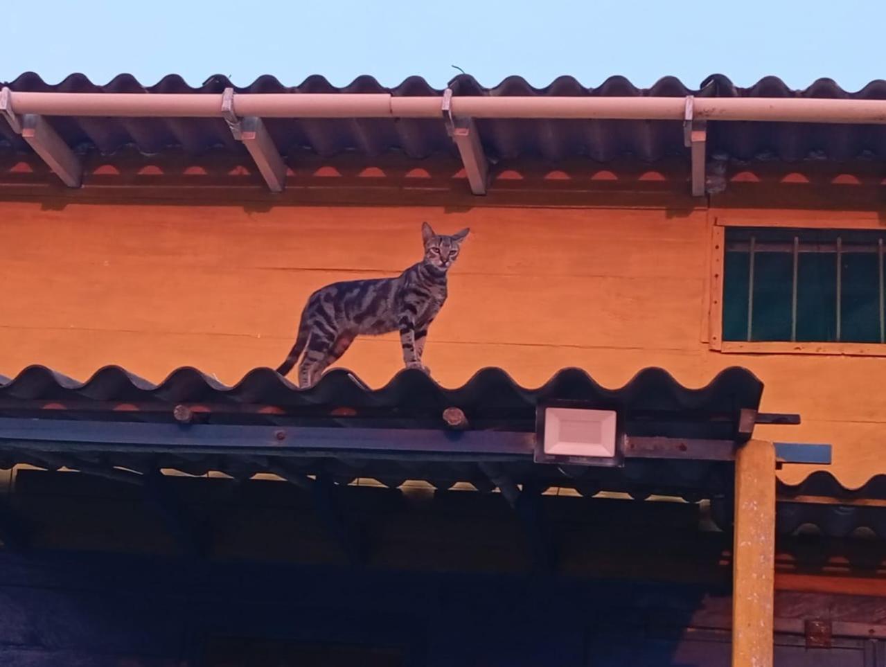 Azul profundo