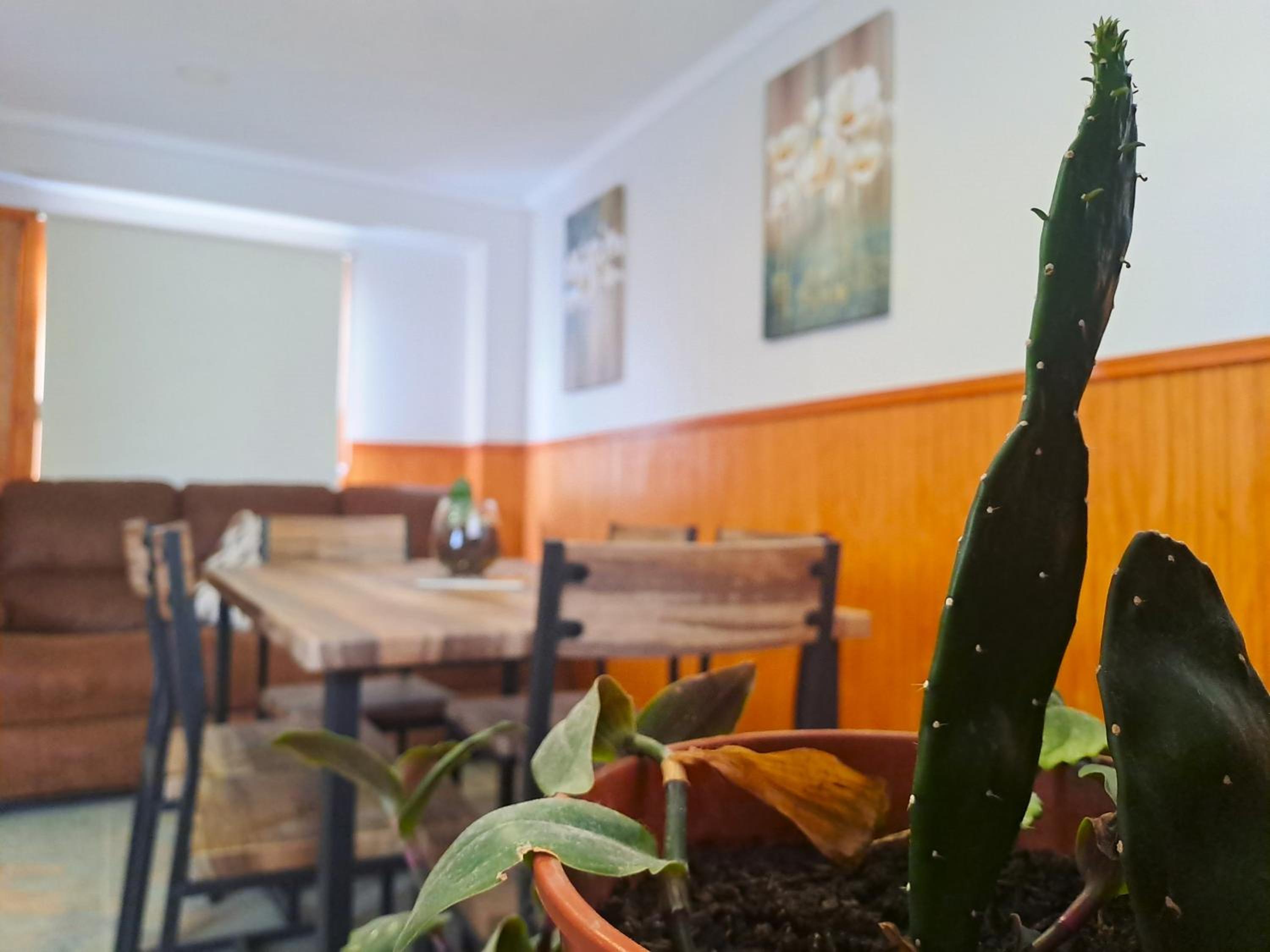 cabañas el rancho