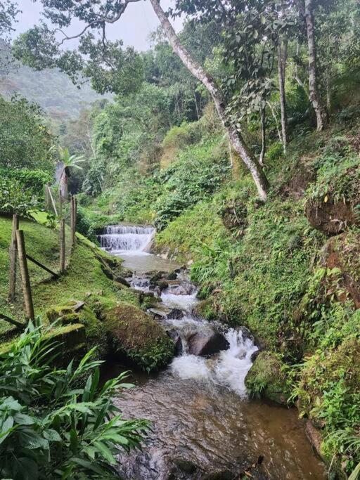 CasaMata - piscina, sauna, área gourmet, cachoeira