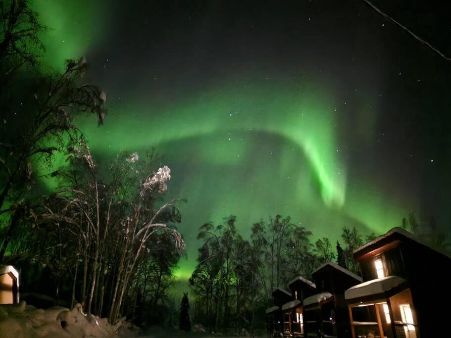 The Meandering Moose - Frontier Village