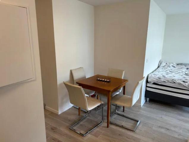 Hotel Apartment close to the airport - Image 1