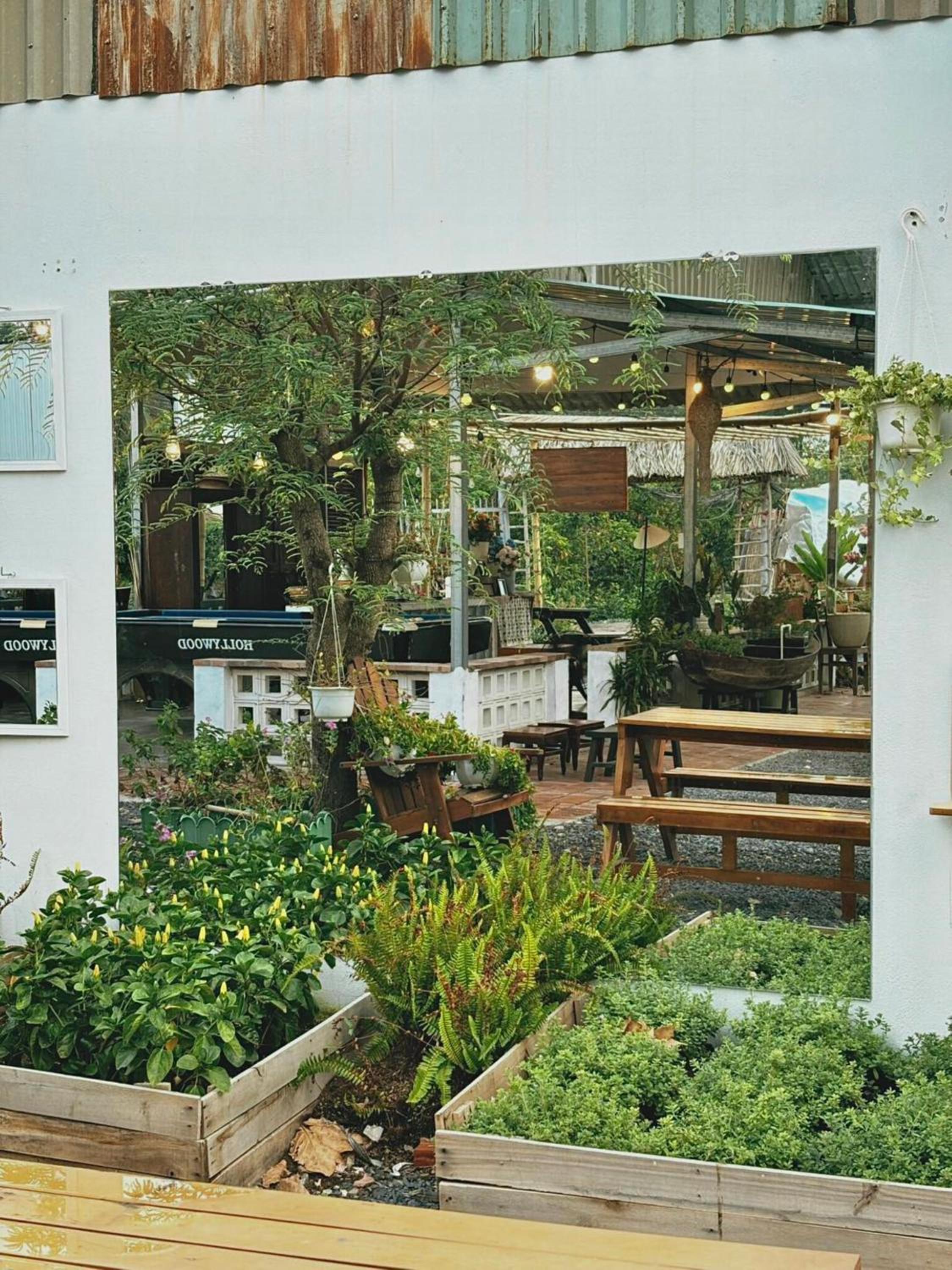Yang Homestay B&B - Room