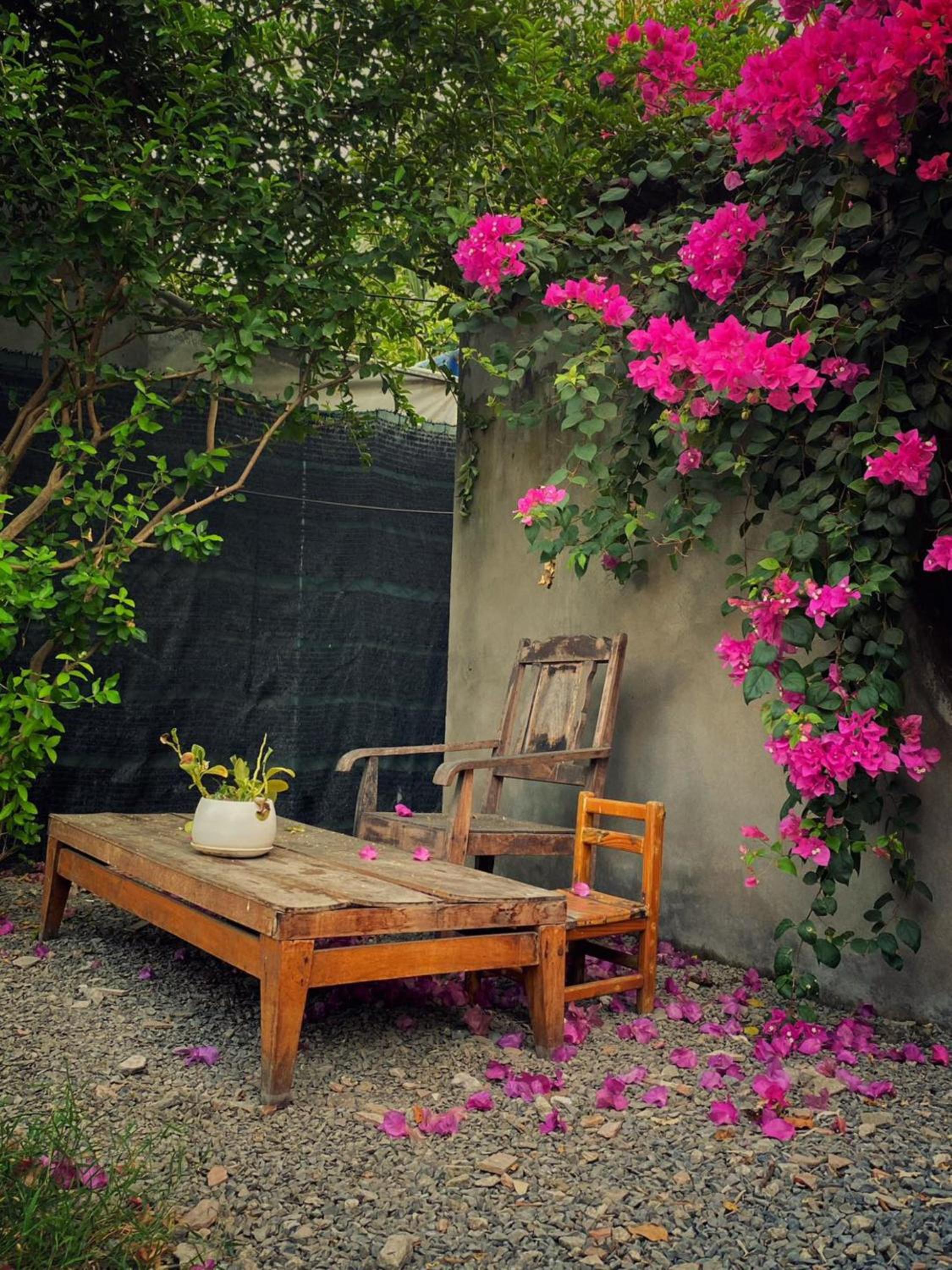 Yang Homestay B&B - Room