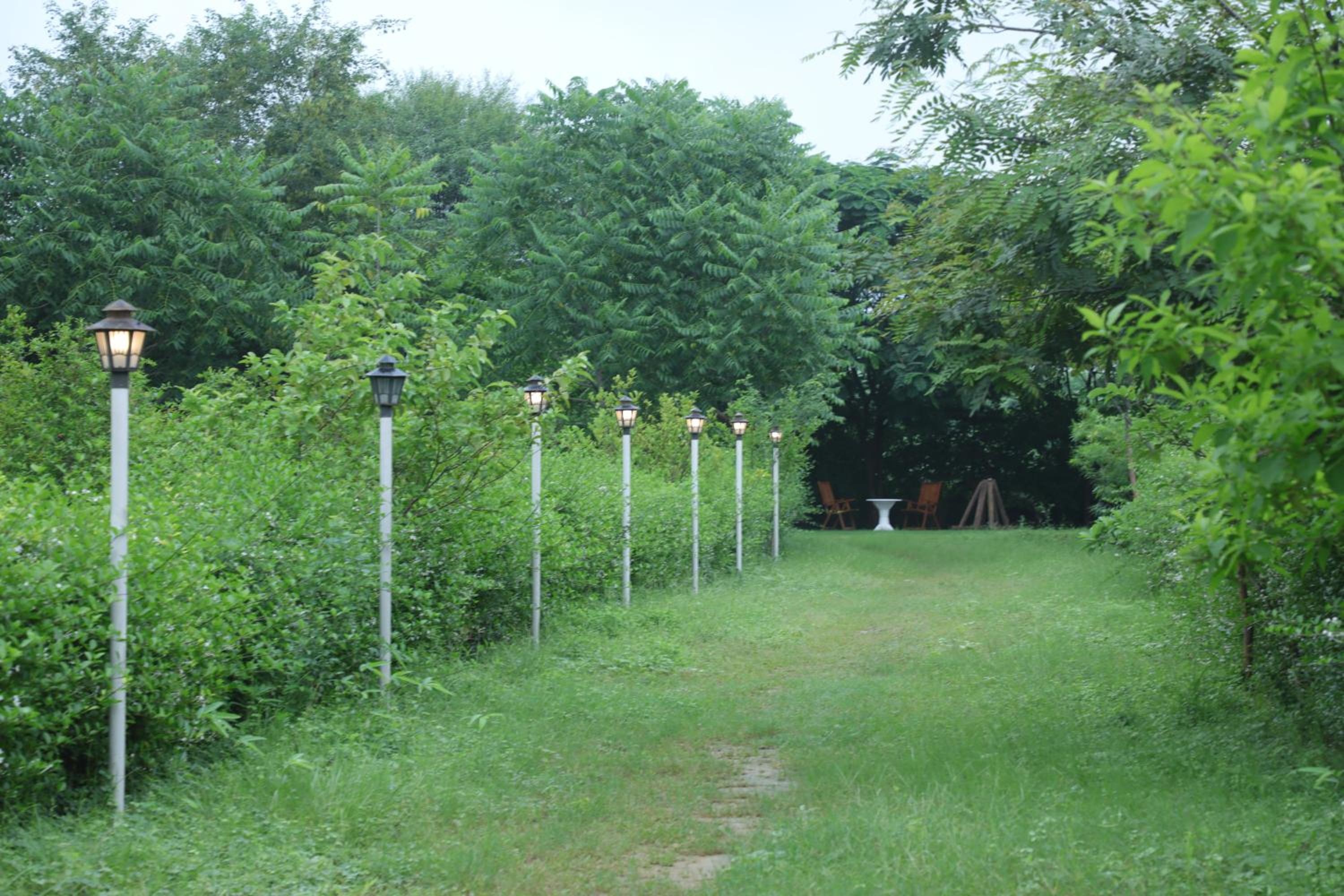 Hotel Wow - Relish in the Wild, Lakeside location, Nearest to Sariska Entry Gate 10KM