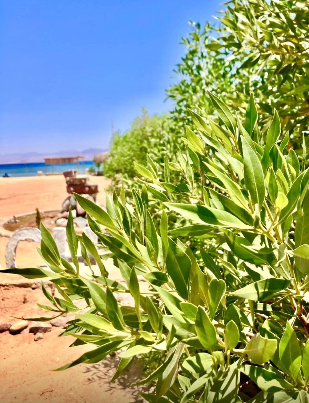 Blue Beach Camp