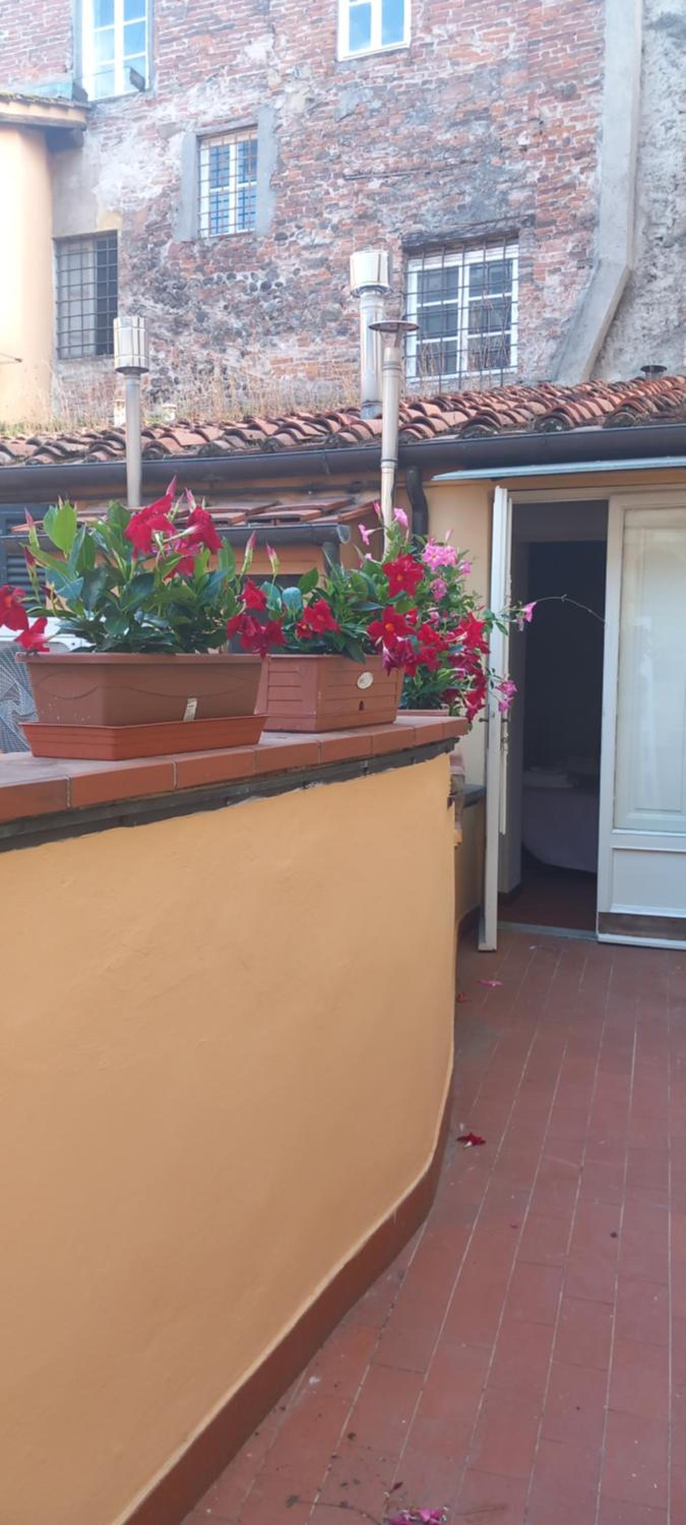 Casa Sibel photo 4