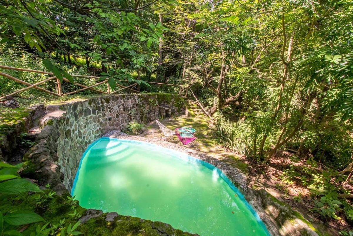 Natural Retreat & Pet-Friendly Escape view 4