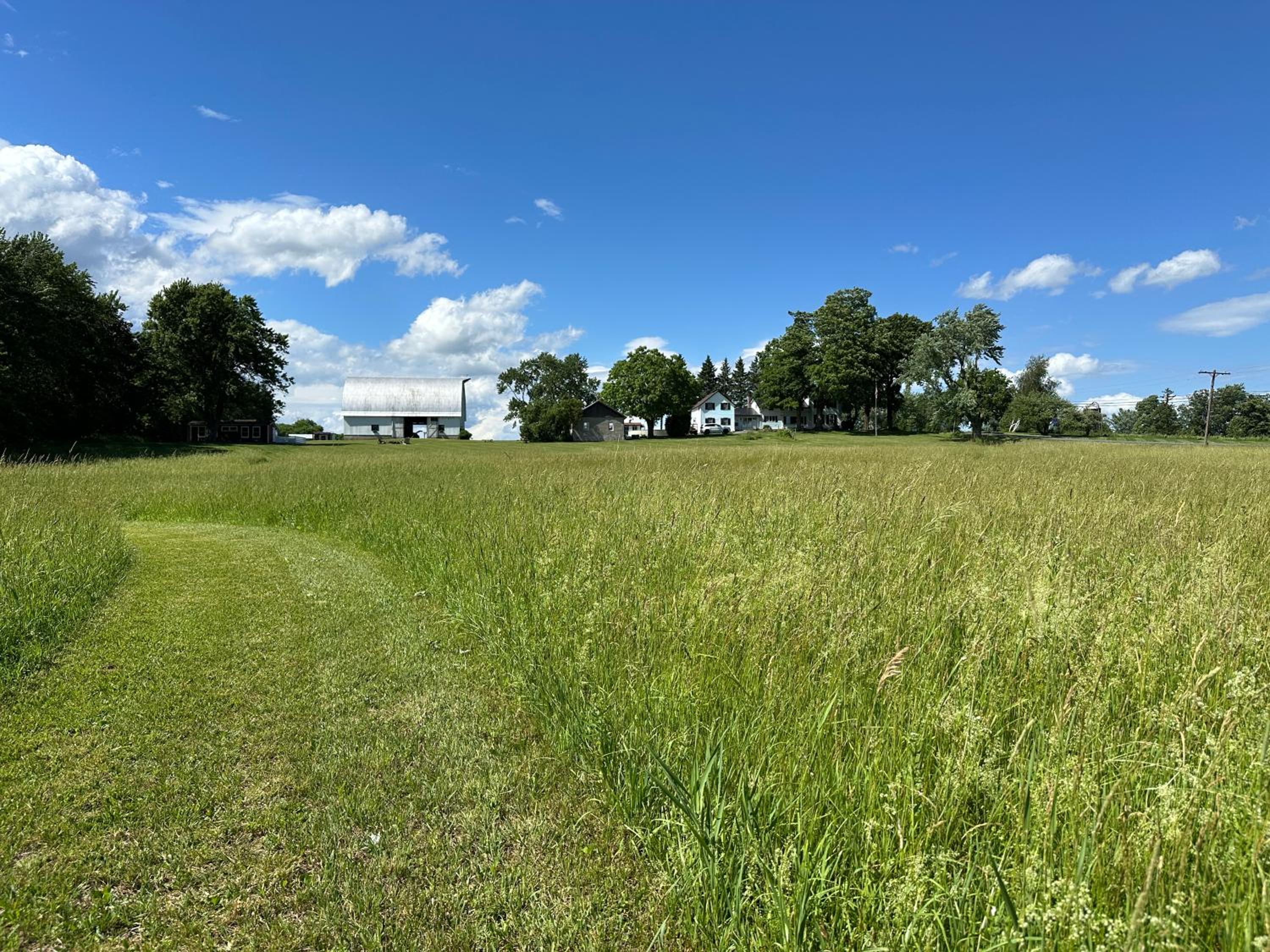 Kimbers Farm view 3