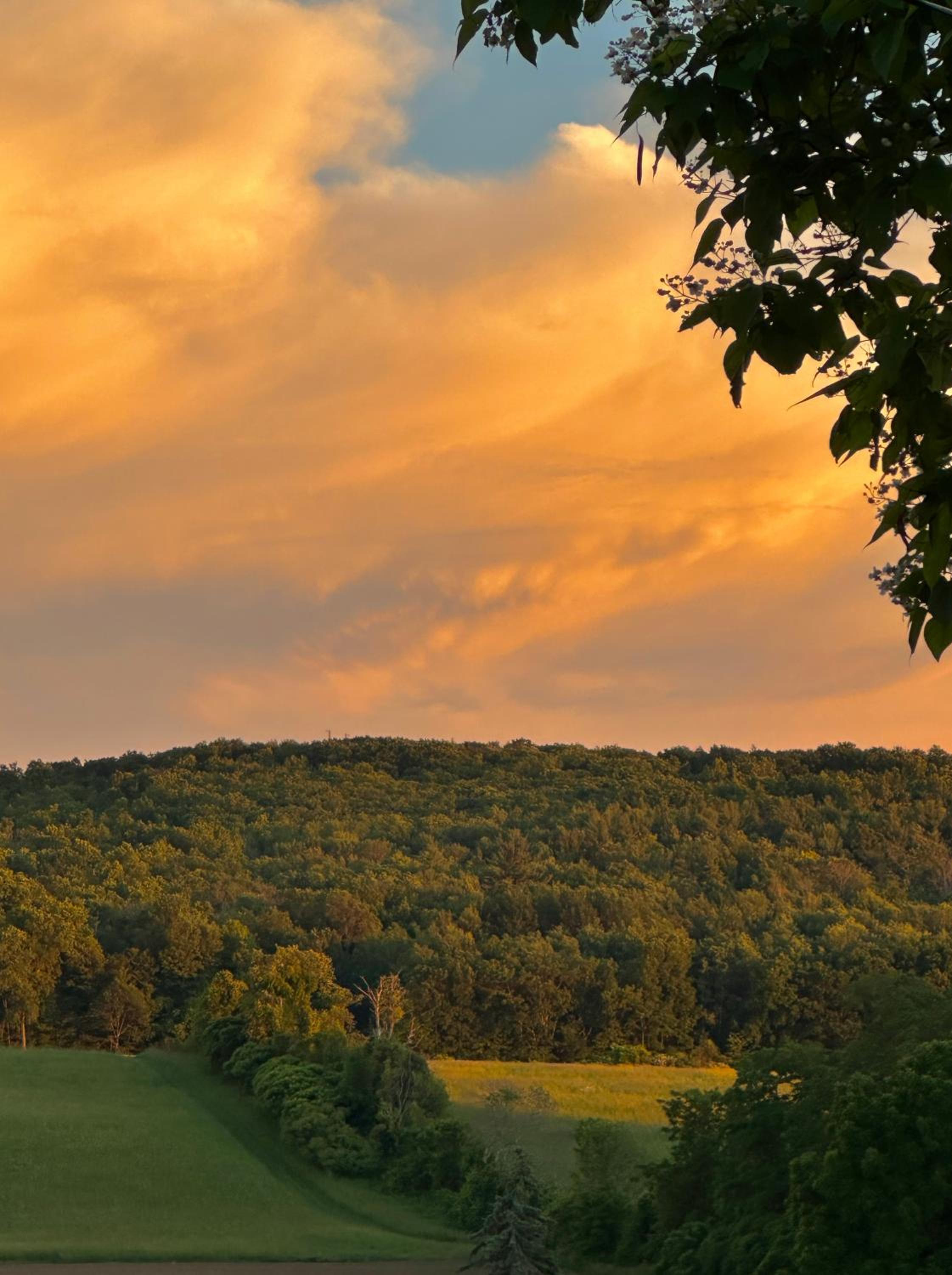 Kimbers Farm view 4