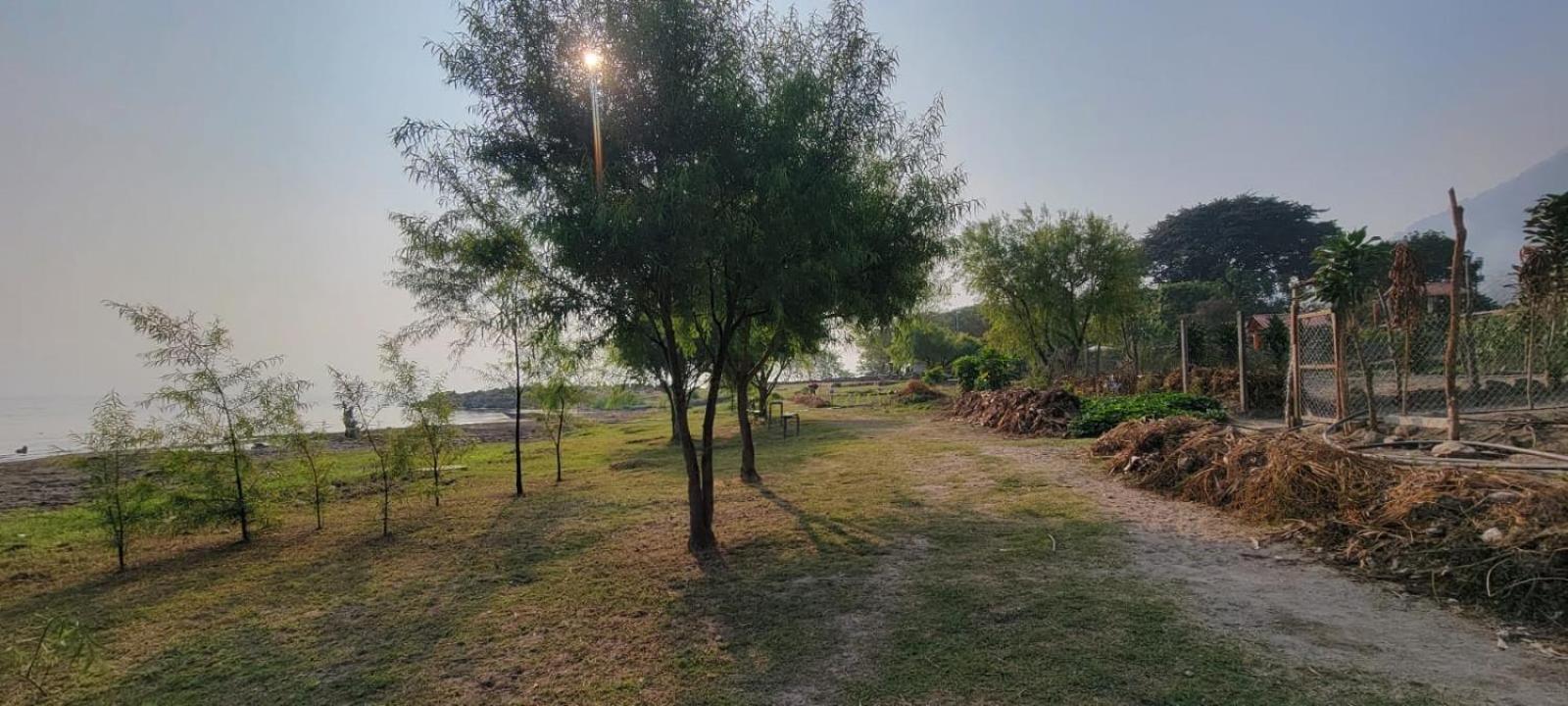 other