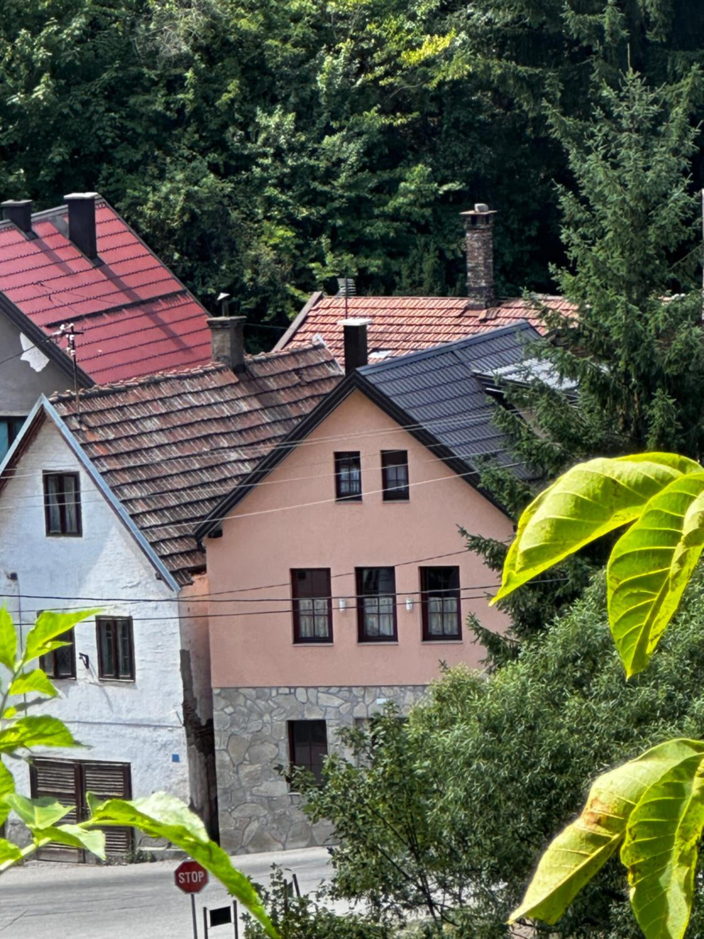 Villa Ruža Vareš