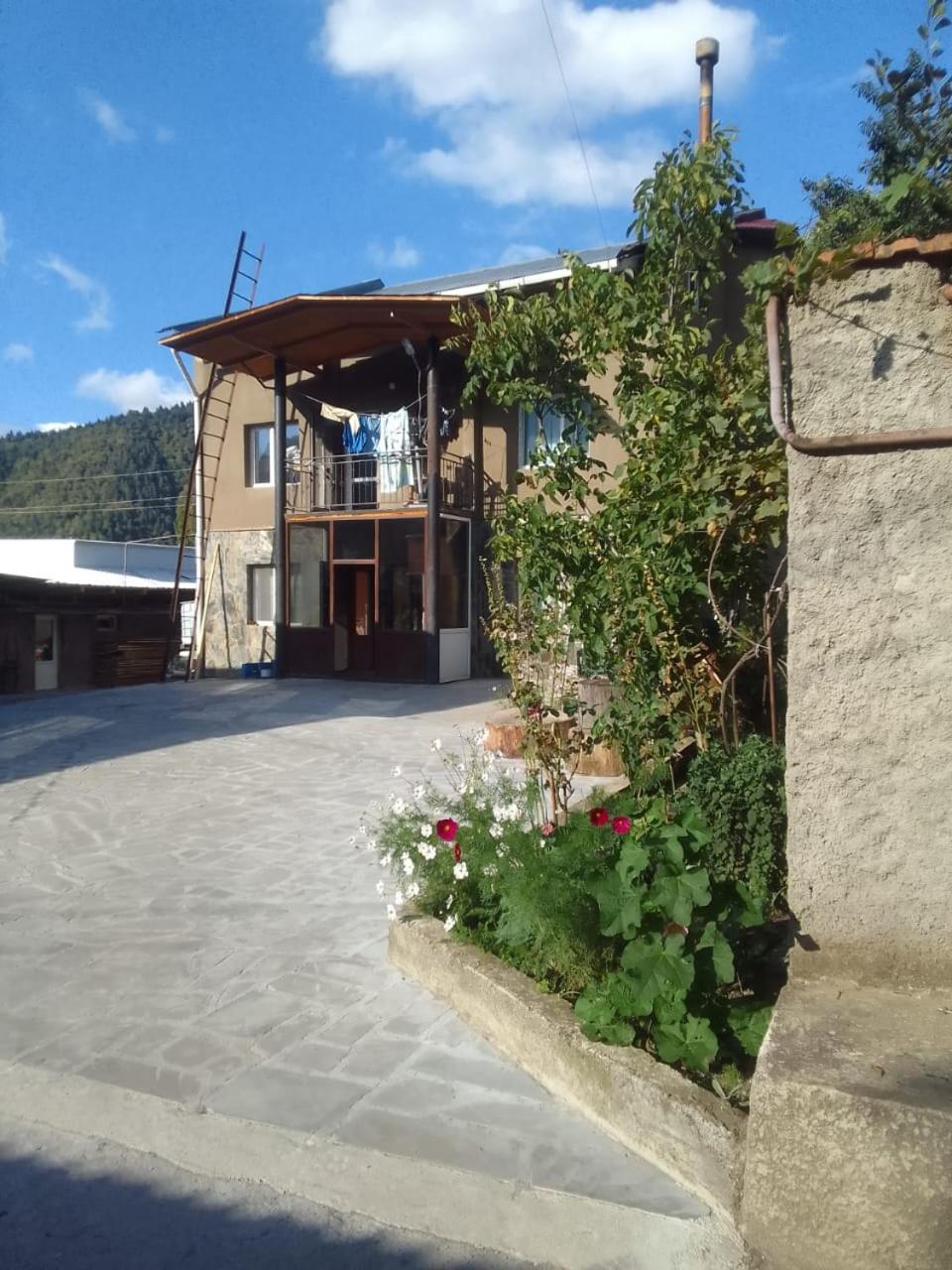 Borjomi Guesthouse Sadgeri
