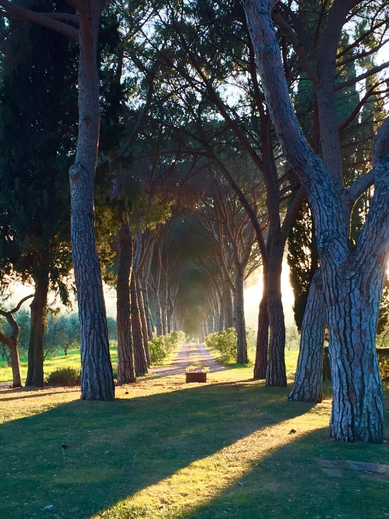 Villa Pelagone