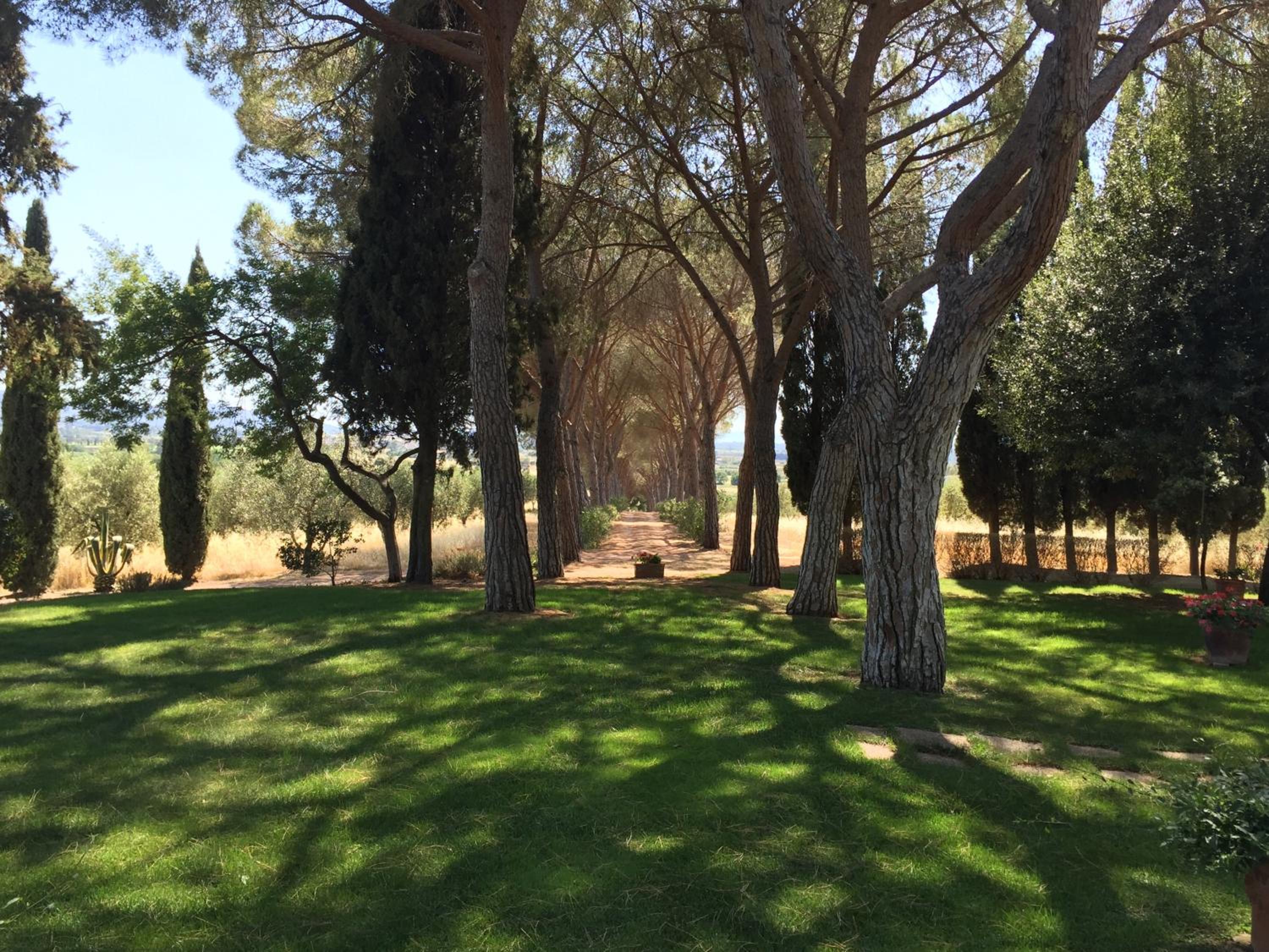 Villa Pelagone