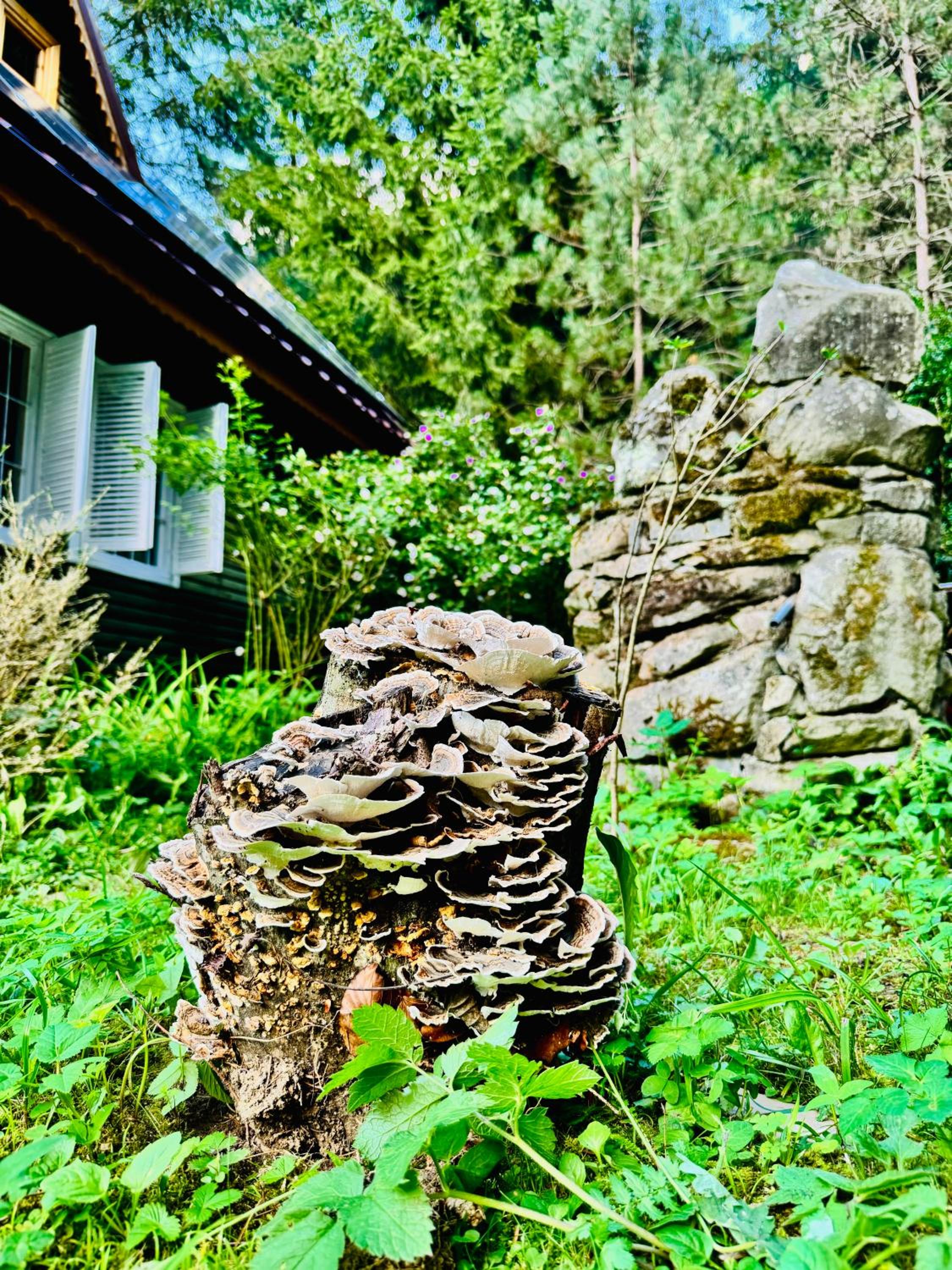 Casa NOR view 5