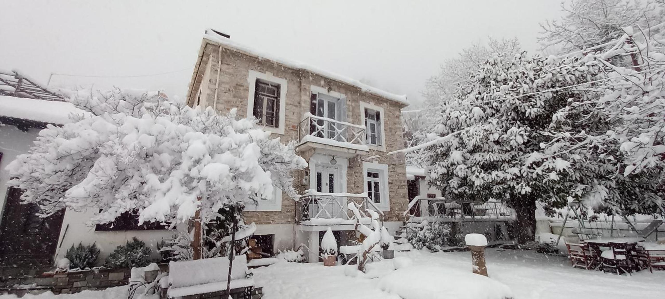 Roselyn Manor