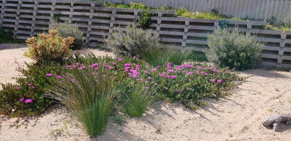 Neighbour Avenue Goolwa Beach - Wi-Fi & Linen Included