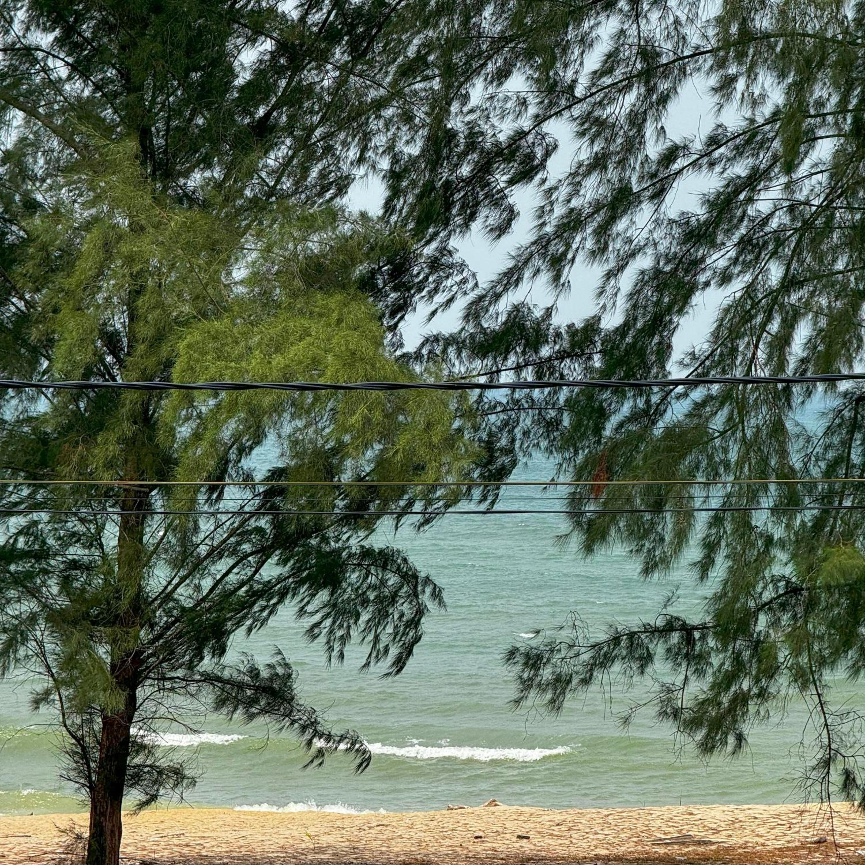 Ombak Beach Inn Resort photo 4