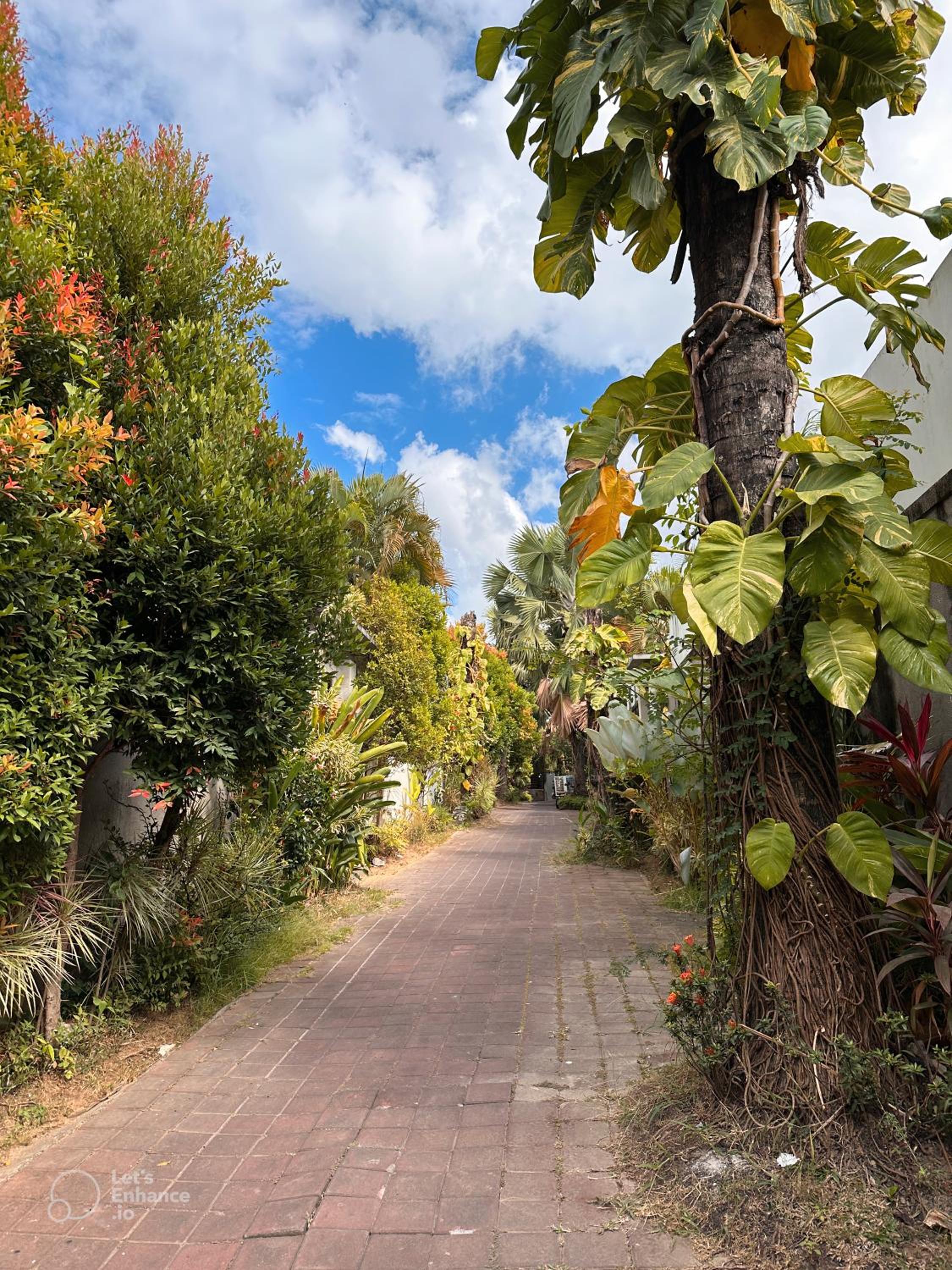 Homy Villa Retreat Umalas
