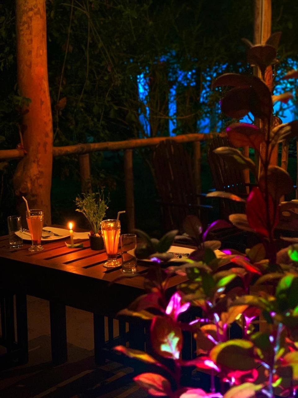 Banana Shade Cottage