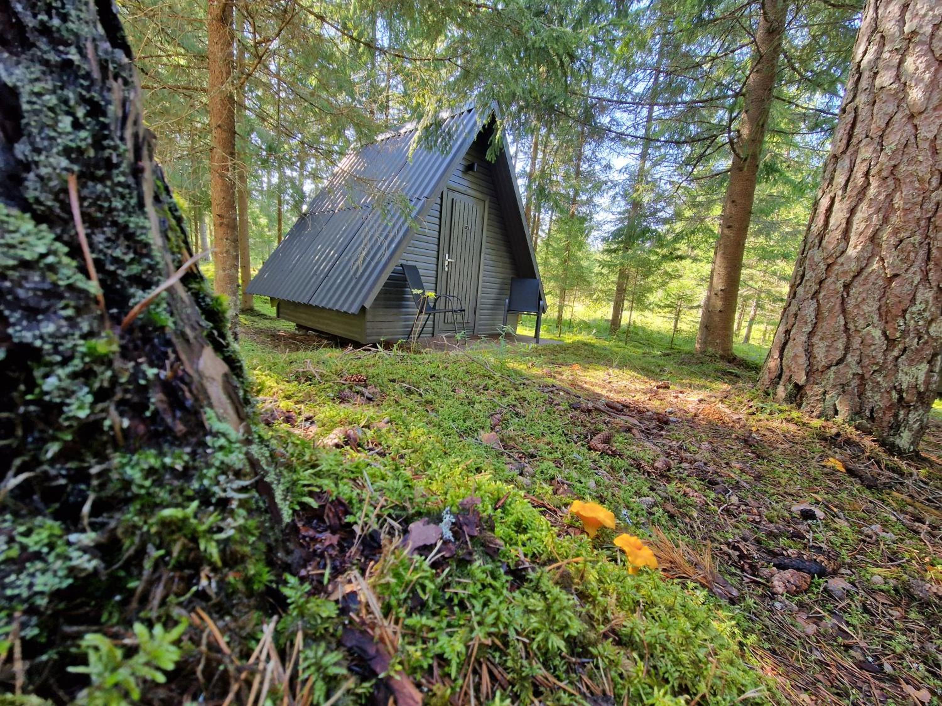 Liivakõrtsi kämping