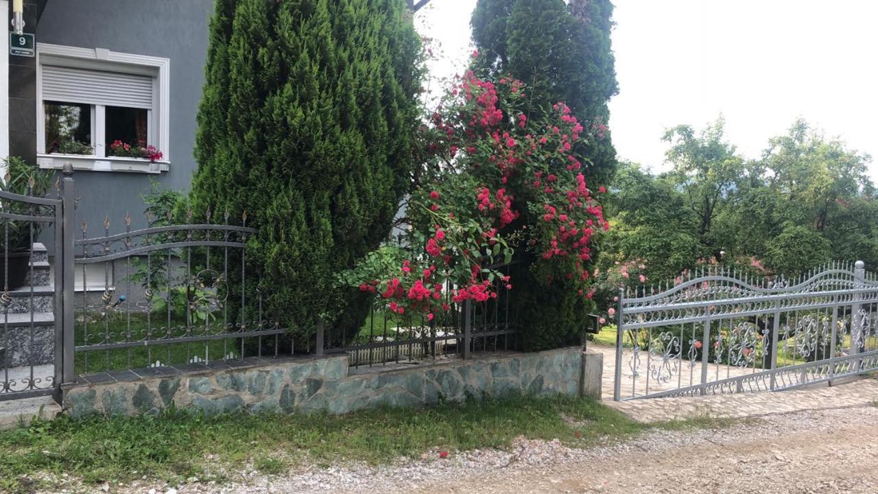 Villa Luna Misevici