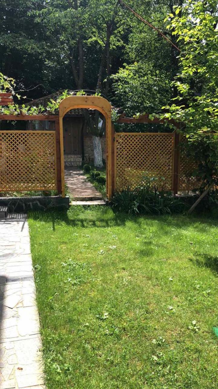 Villa Luna Misevici