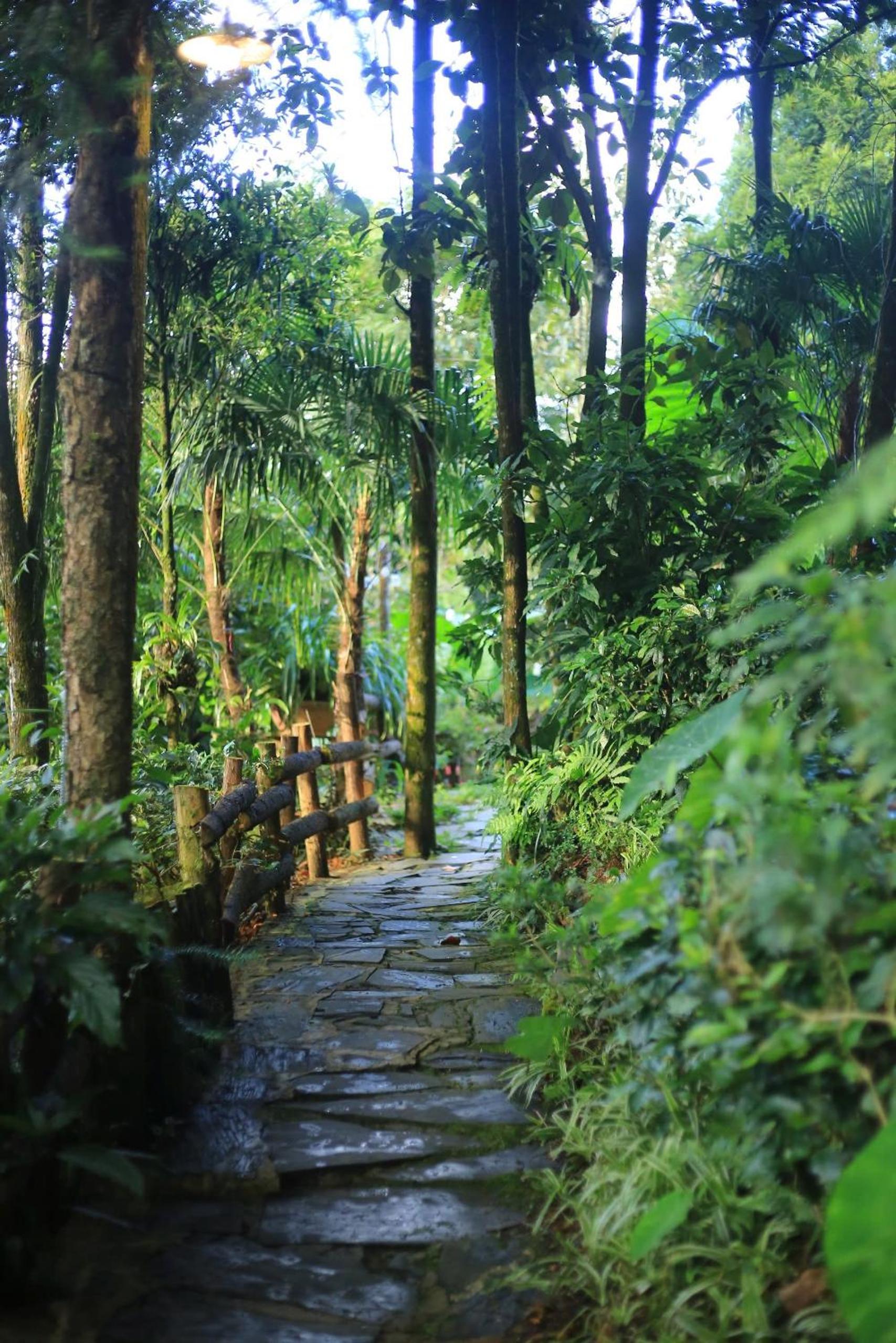 Sapa Jungle Homestay view 2