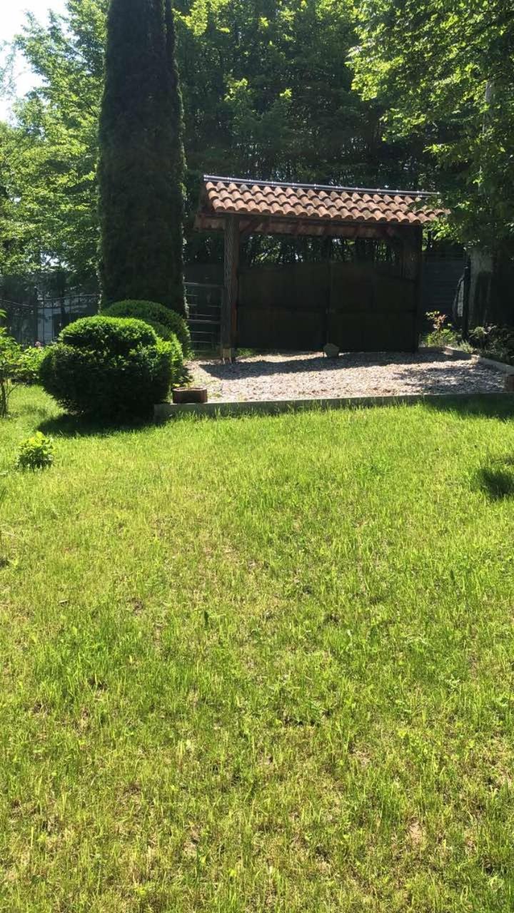 Villa Luna Misevici