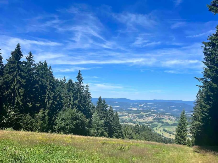 Ferienwohnung Bayerwald-Blick, Schwimmbad, Sauna, GästeCard Sankt Englmar