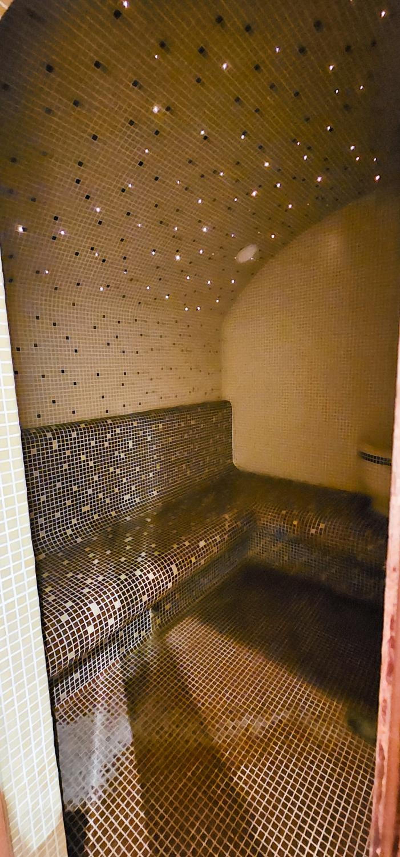 Studio with balcony, mountain view, 4* SPA Resort, Bansko