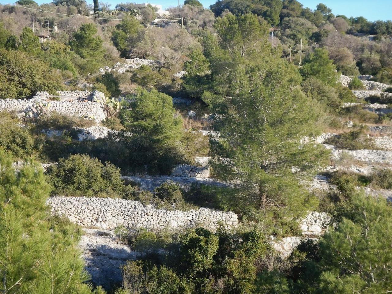 Photo 33