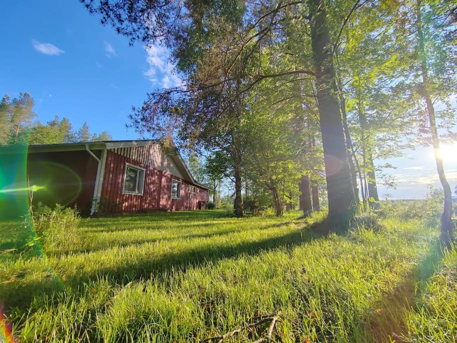 Metsäranta