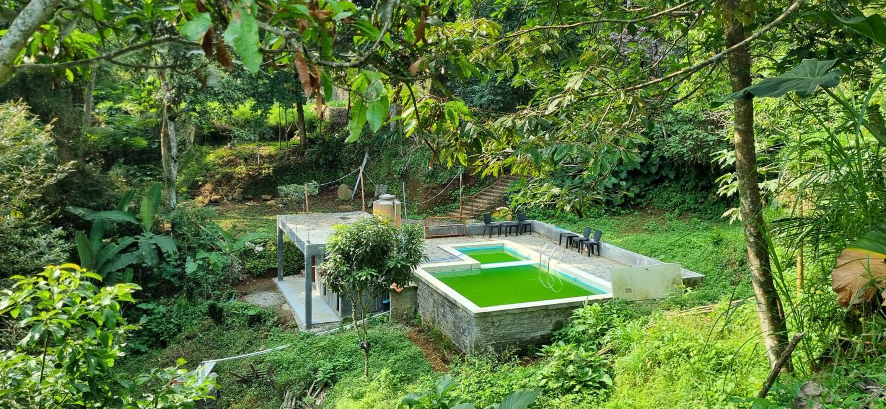 Rumah Bambu Jid view 3