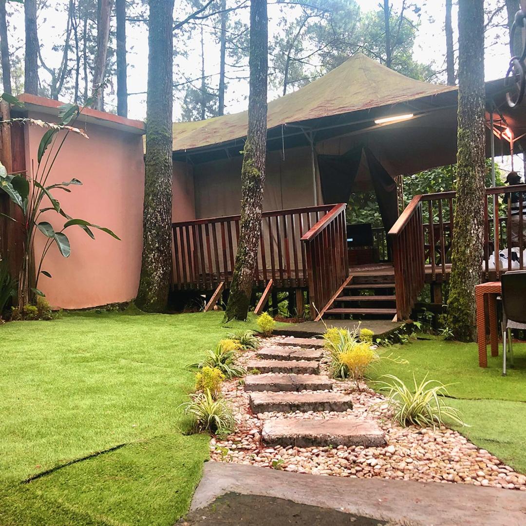 Kopeng Treetop Adventure Park