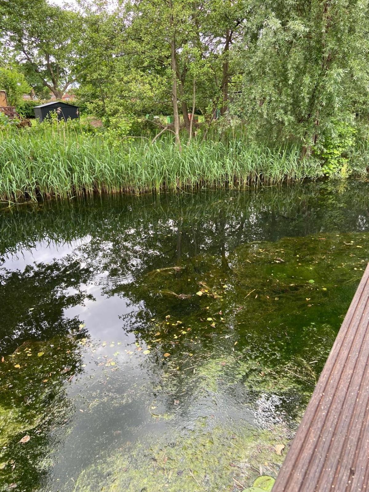 Bootshaus am Inselseekanal