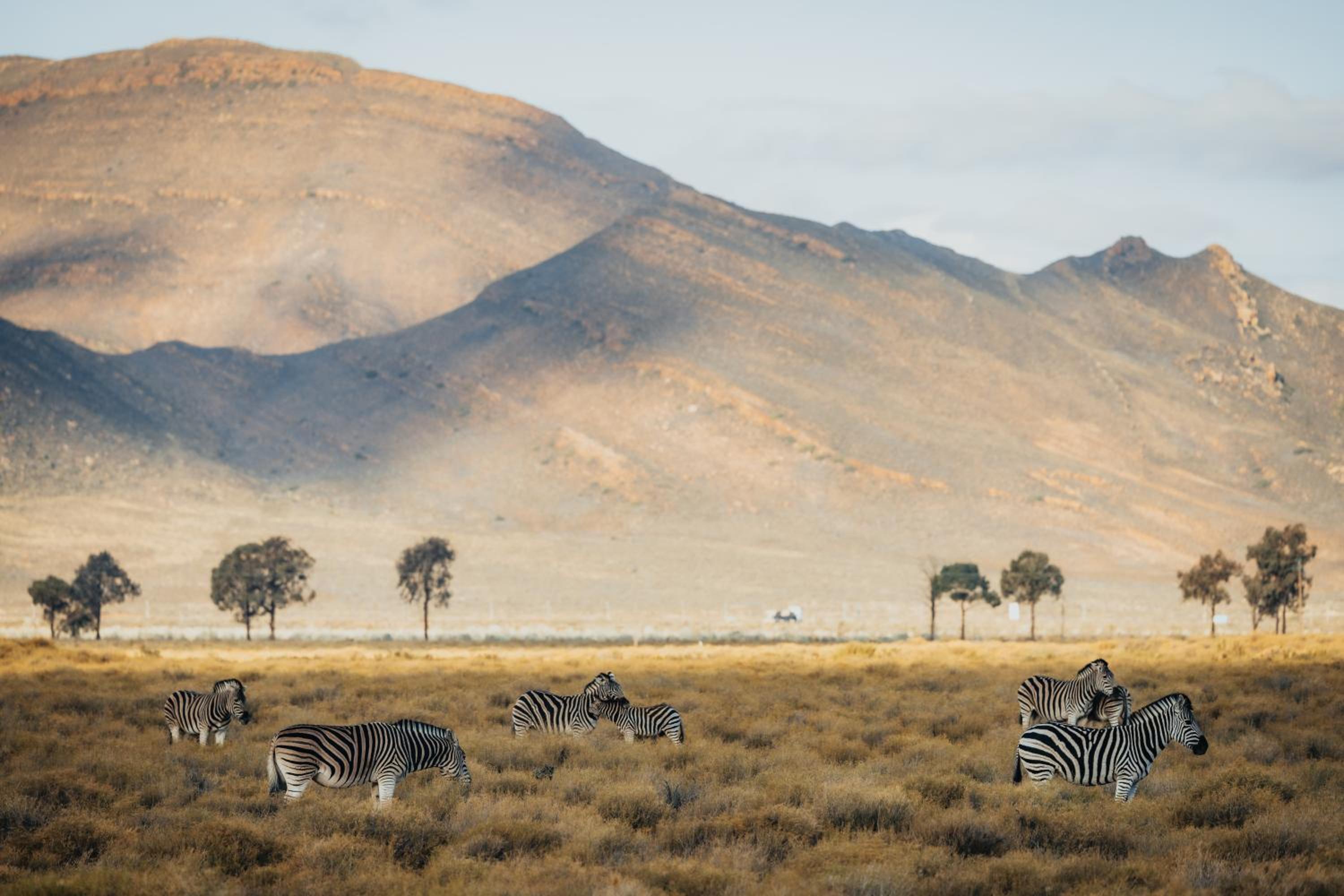 Aquila Private Game Reserve & Spa