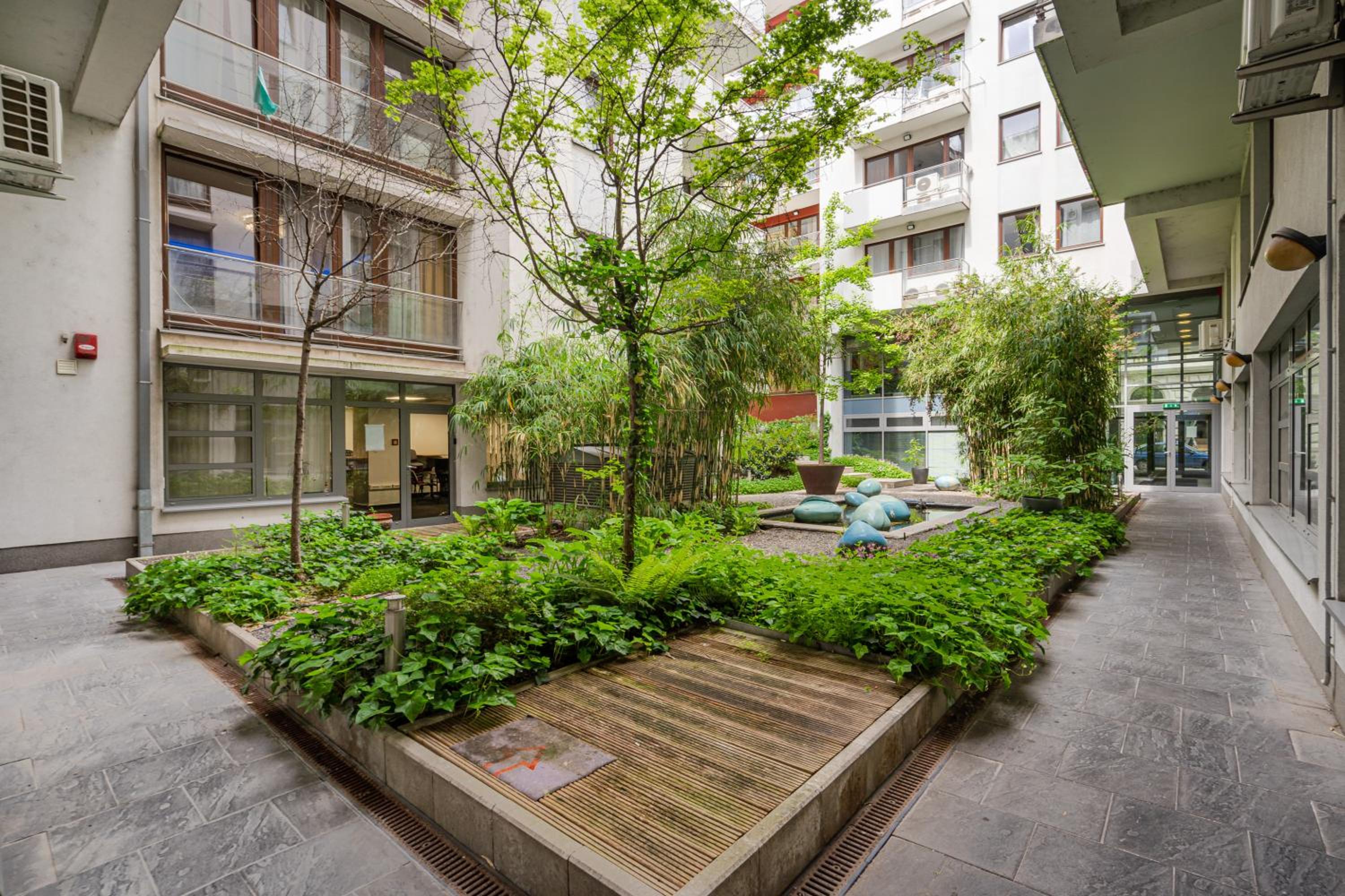 Home of Serenity - 2 BDR, free parking and terrace view 5