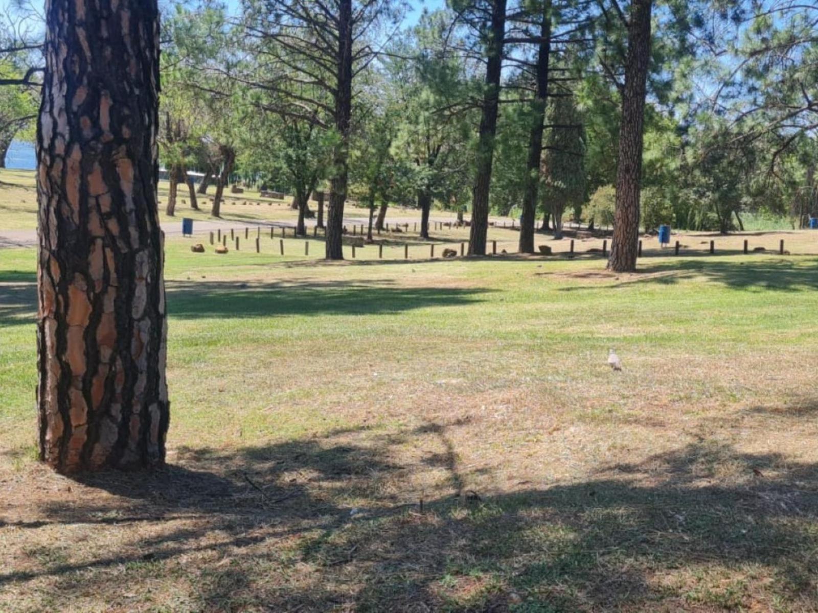 The View on Vaal Resort view 5