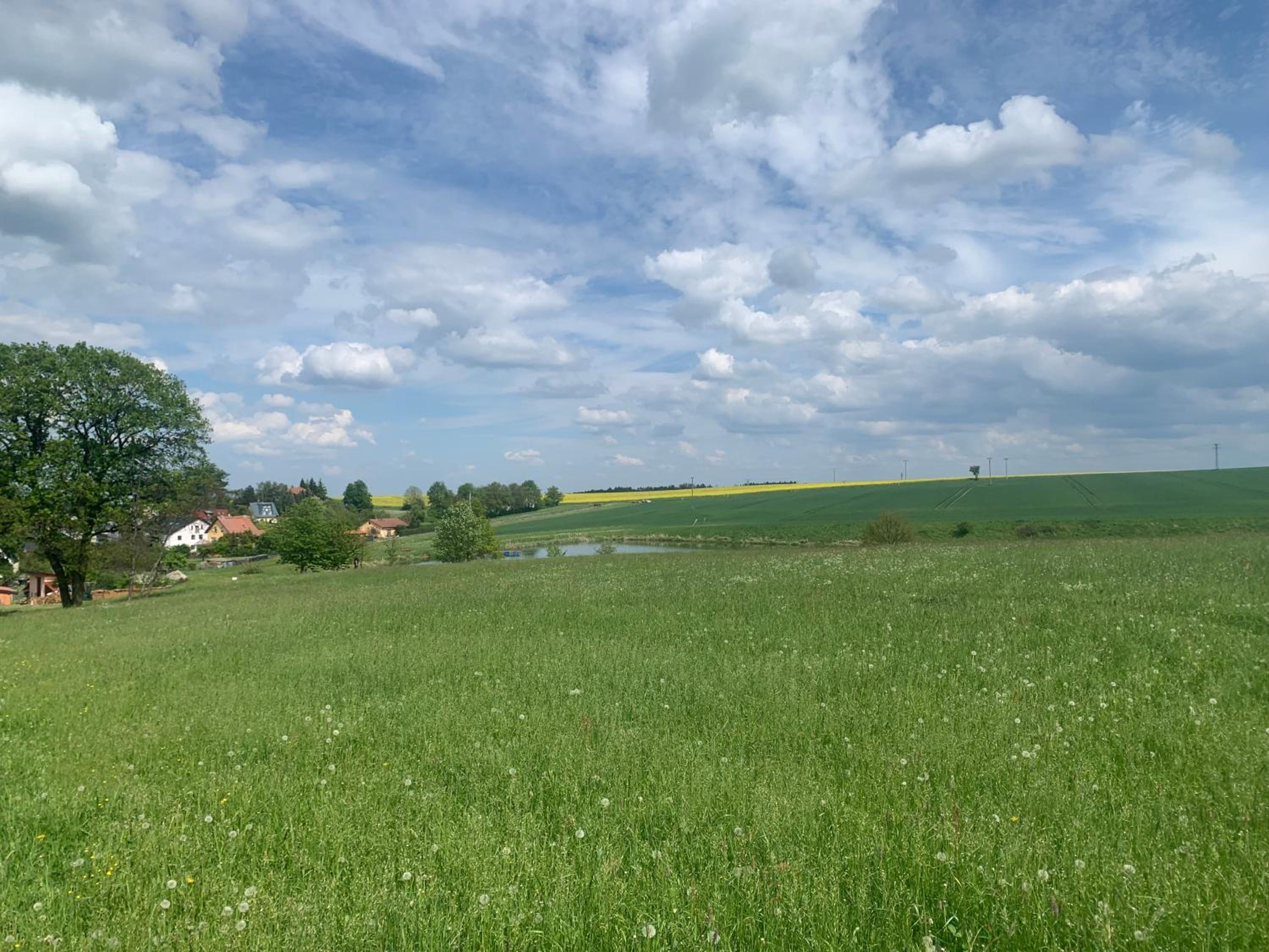Ferienwohnung im grünen-auf dem Land