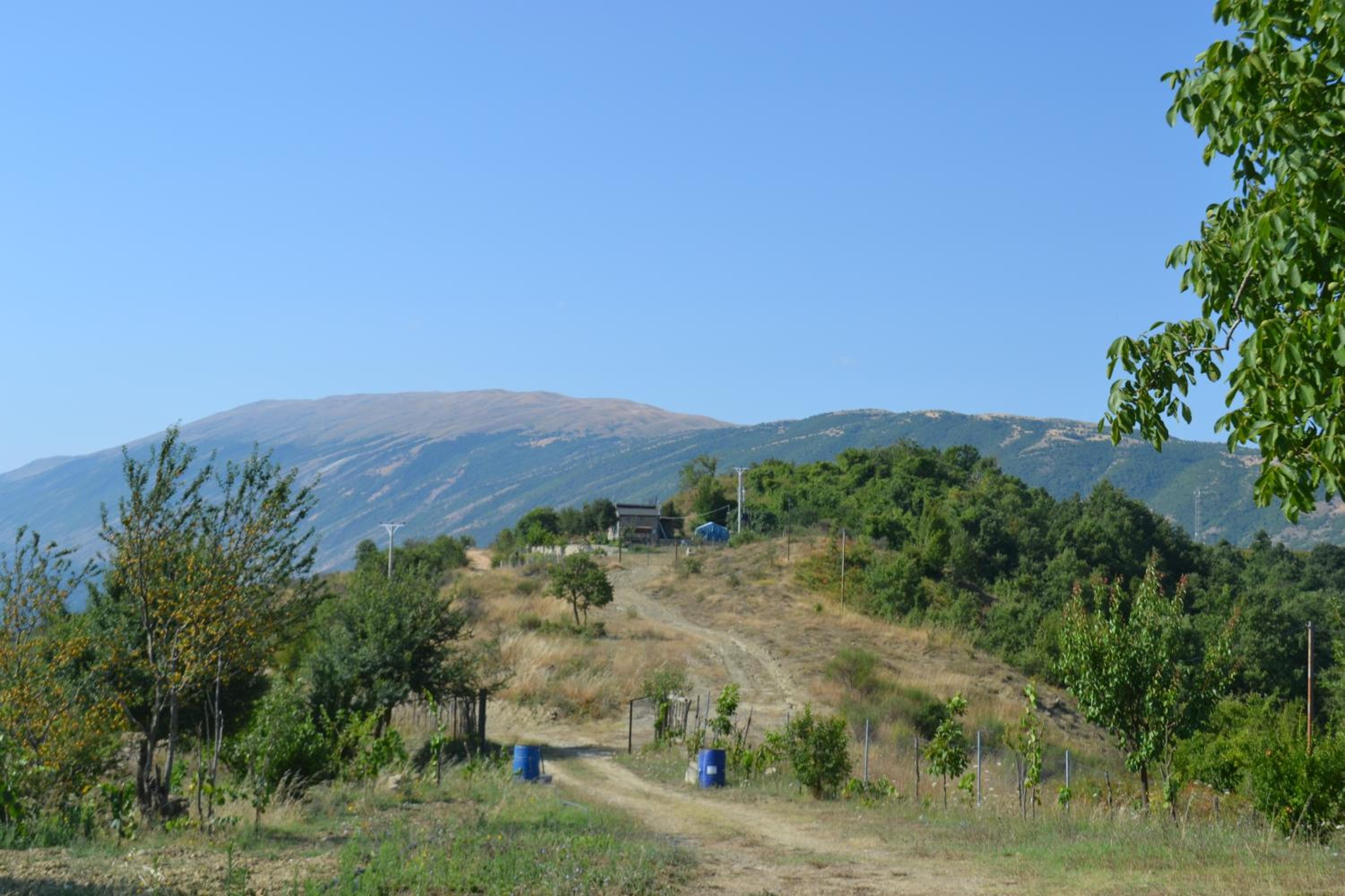 Camping & Guest House Murataj